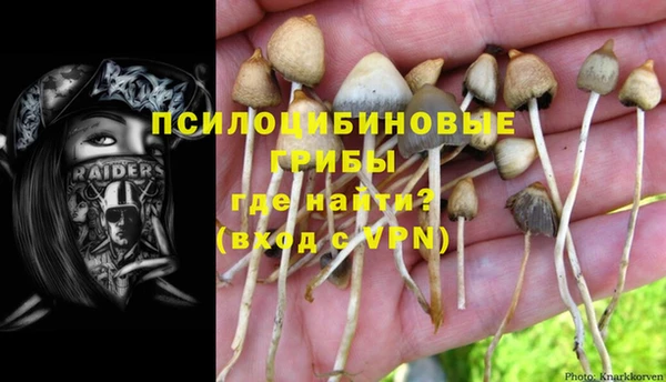 спиды Вязьма