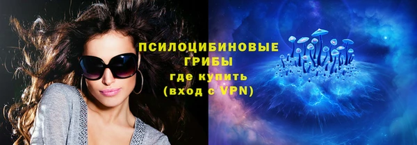 гидра Володарск