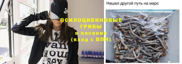 гидра Володарск